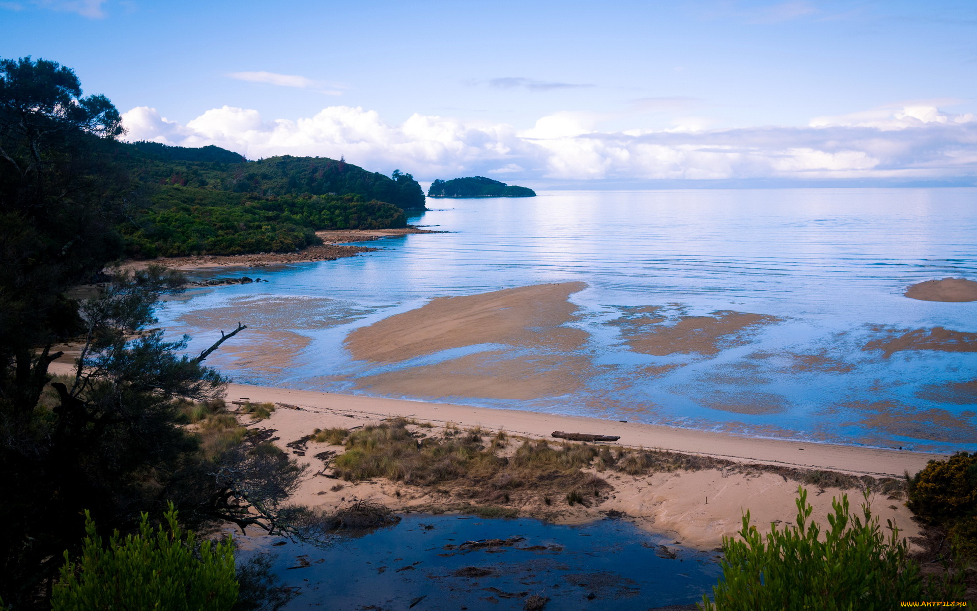 abel, tasman, national, park, new, zealand, природа, побережье, парк, берег, море