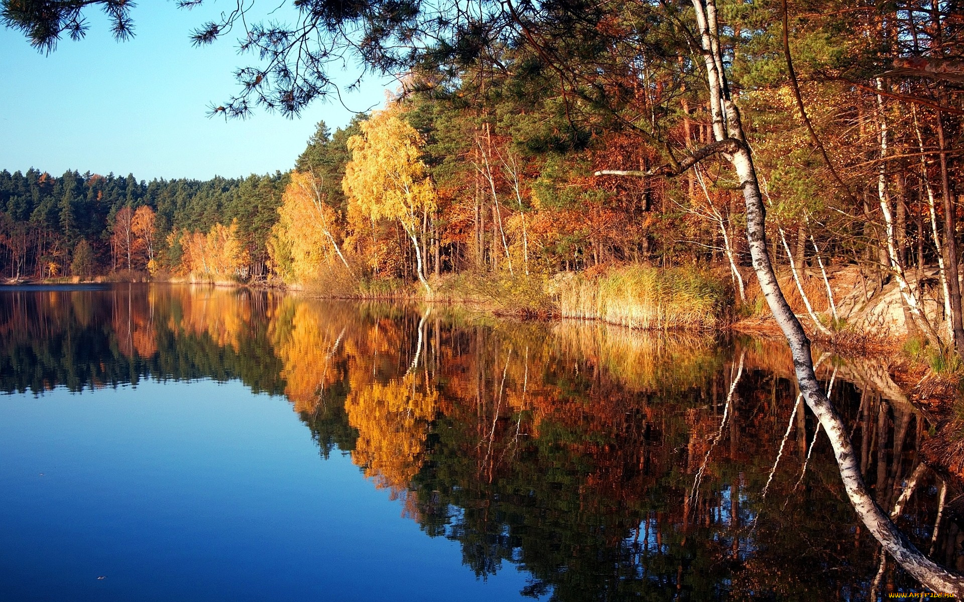 природа, реки, озера, осень, деревья, отражение