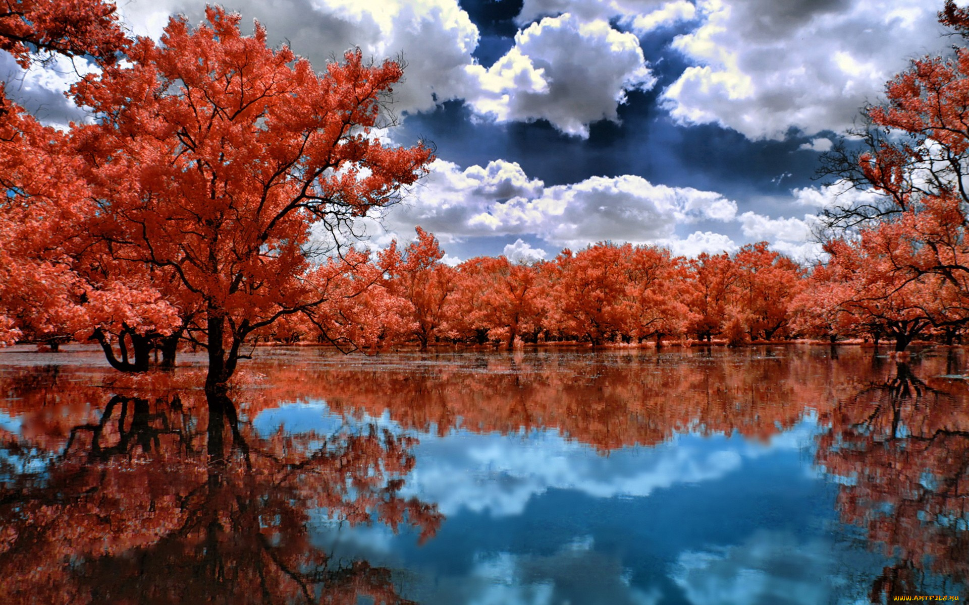 природа, реки, озера, река, осень, разлив, деревья, красные, кроны, отражение