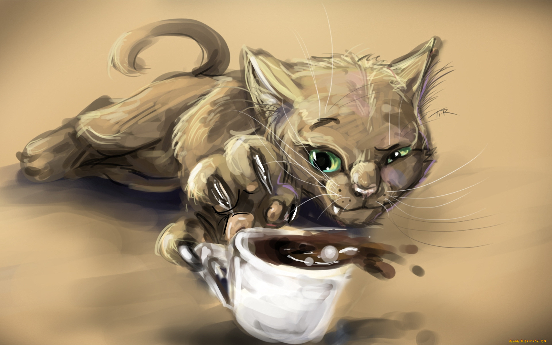 рисованные, животные, коты, кофе, кот, чашка