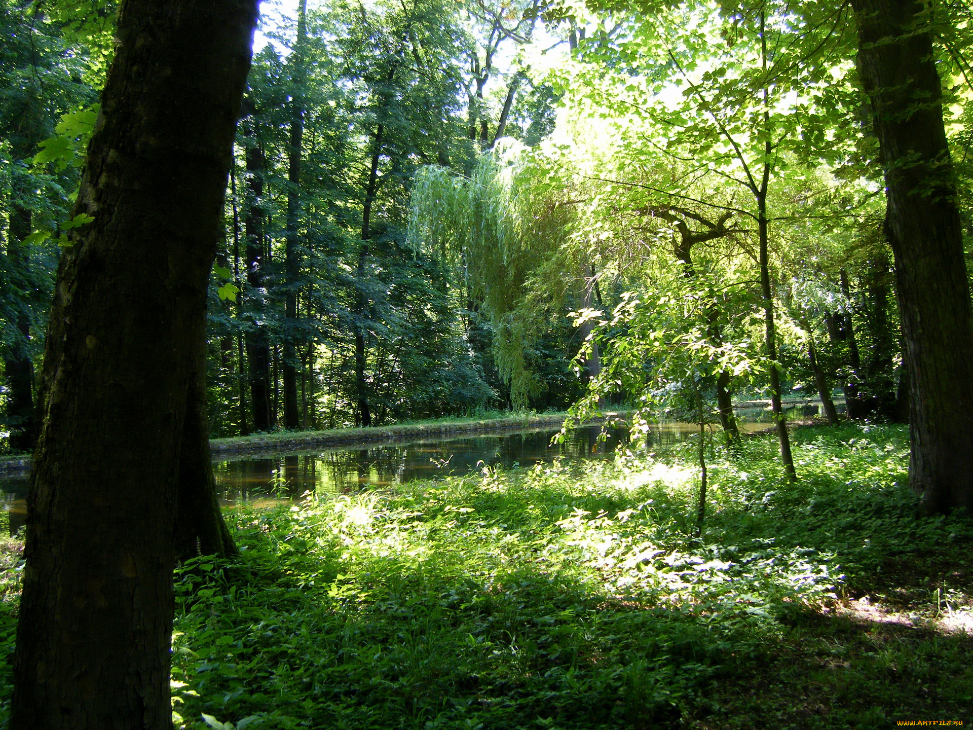 германия, мюнхен, nymphenburg, park, природа, парк, деревья, река