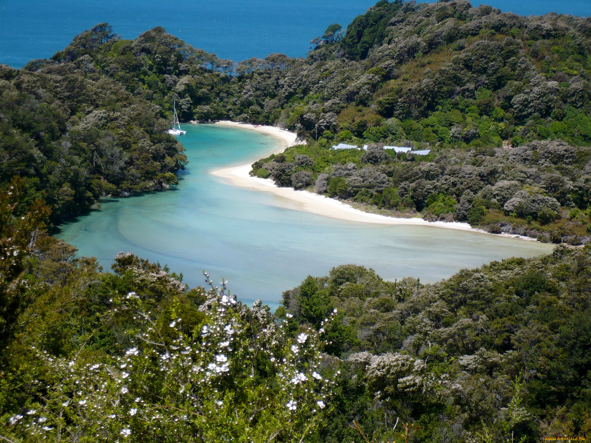 lake, ellesmere, abel, tasman, national, park, природа, реки, озера, озеро, горы