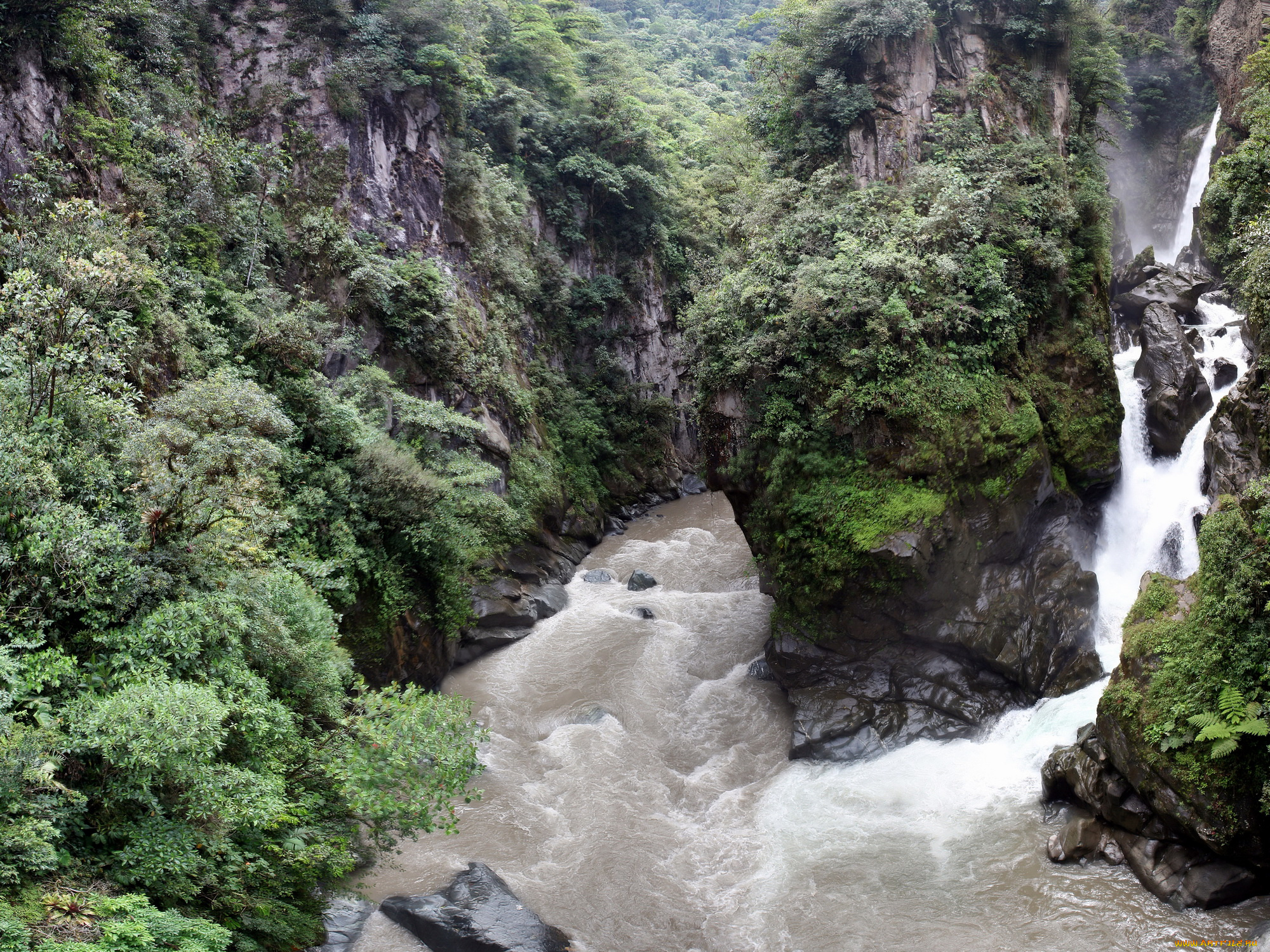 водопад, pailondel, diablo, эквадор, природа, водопады, лес