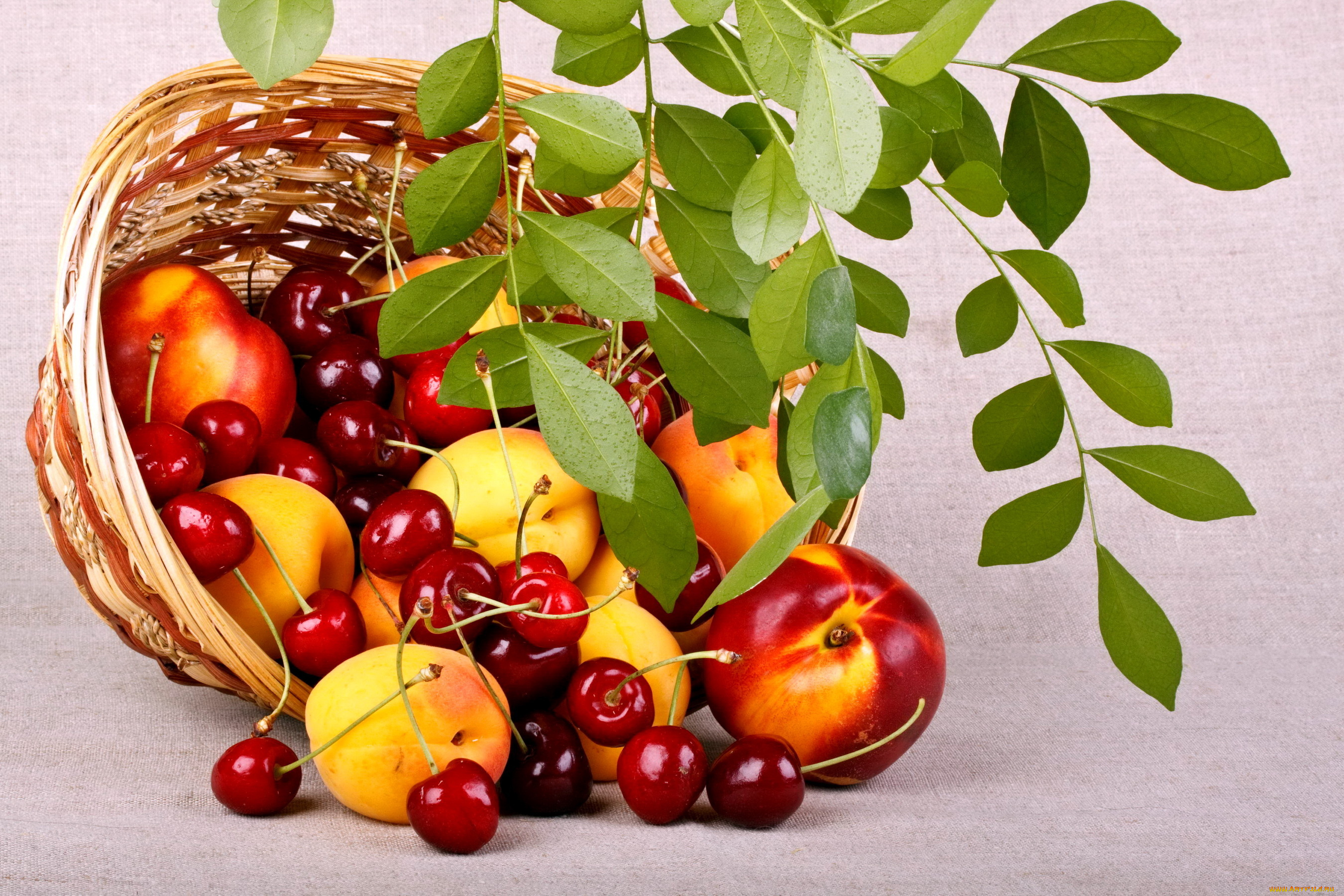 еда, фрукты, ягоды, вишня, персики, корзина, лето