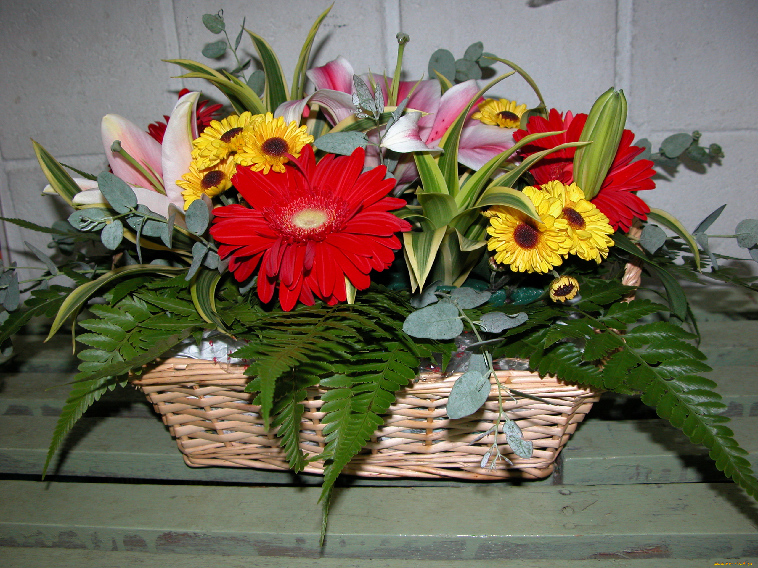цветы, букеты, , композиции, герберы, лилии, маргаритки, корзинка