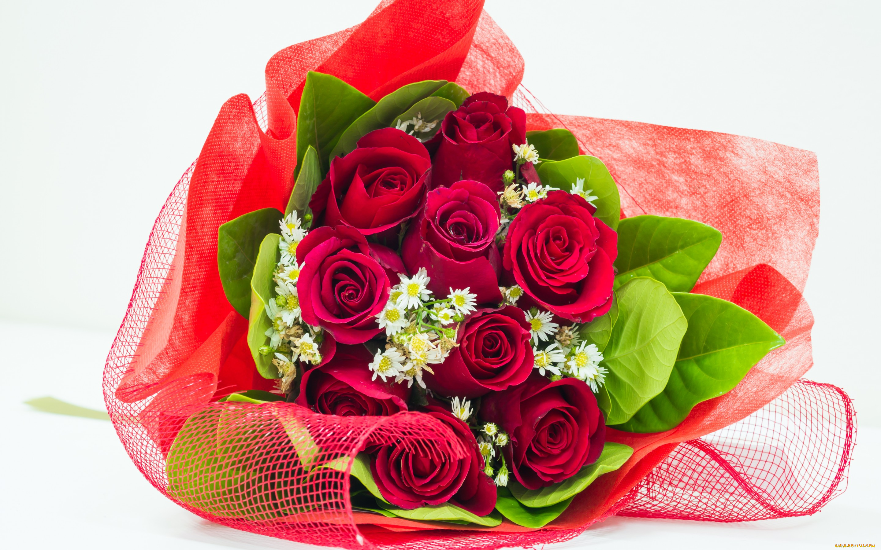 цветы, букеты, , композиции, романтика, красные, розы, букет, beauty, pretty, lovely, nice, cool, beautiful, red, roses, bouquet, rose, flowers, flower, romantic, romance, for, you, i, love