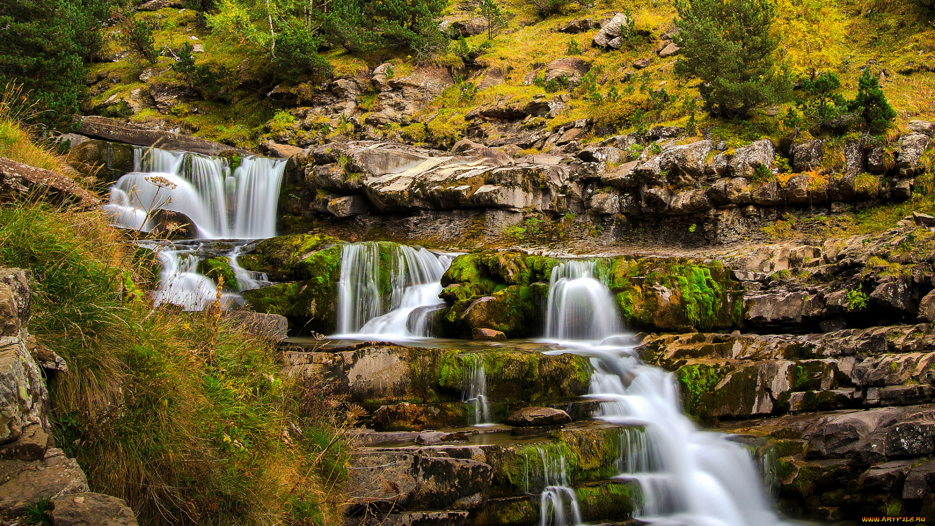 природа, водопады, водопад, река, лес