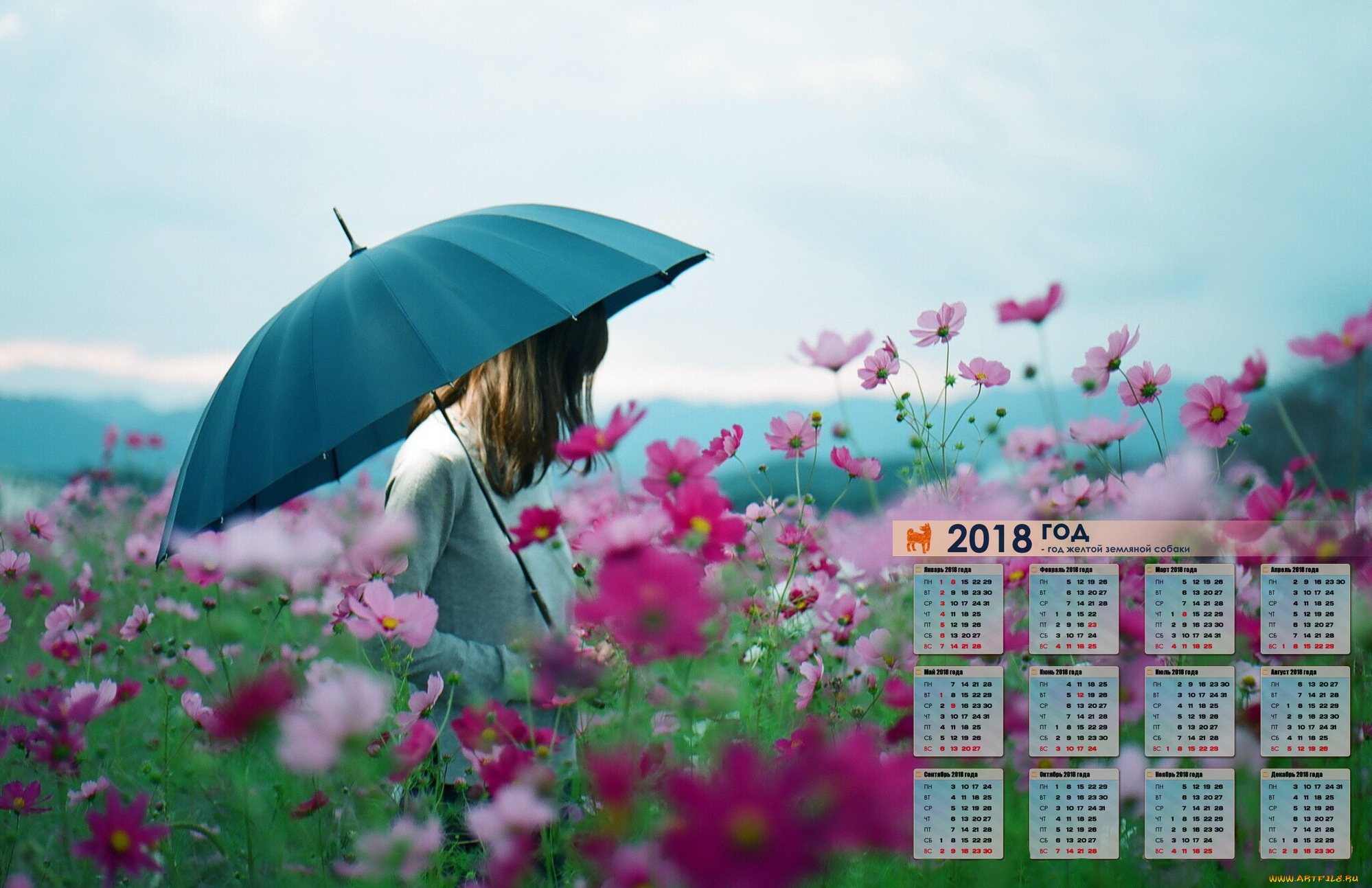 календари, девушки, 2018, цветы, зонт, профиль