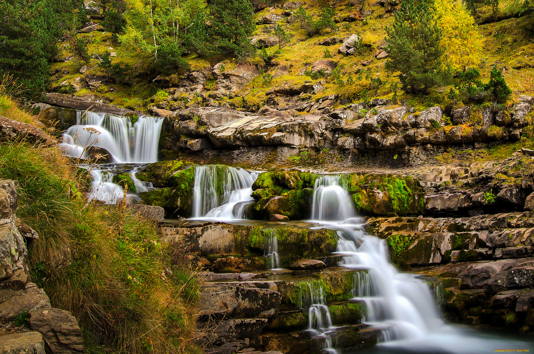 природа, водопады, водопад, река, лес