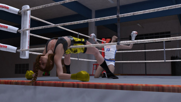 Картинка 3д+графика спорт+ sport ринг девушки бокс взгляд фон