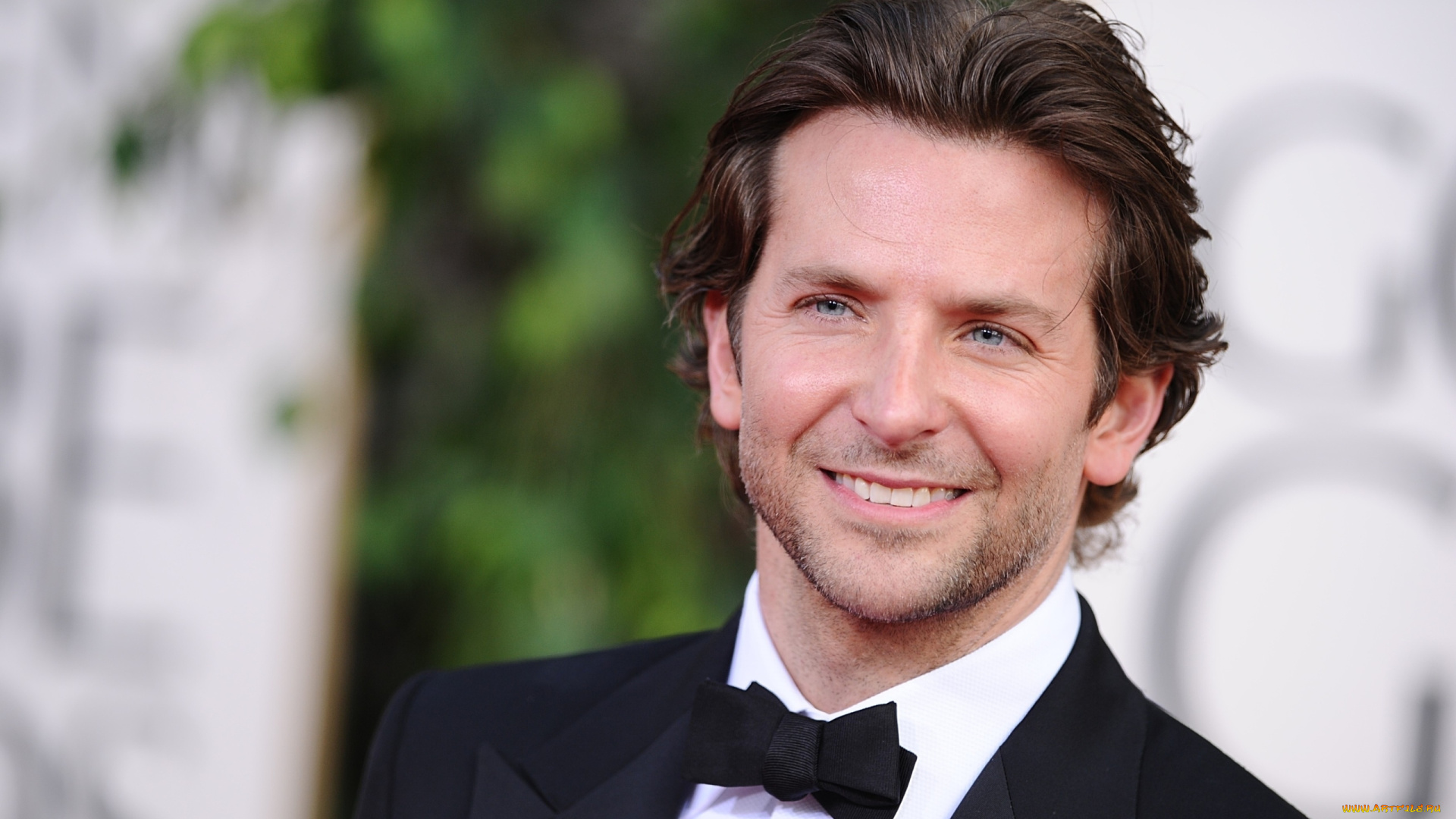 мужчины, bradley, cooper, улыбка, костюм, бабочка, щетина, лицо, актер