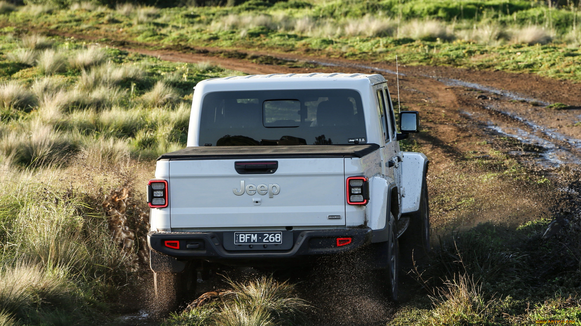 автомобили, jeep, gladiator, overland, 2020, вид, сзади, грязь, джип