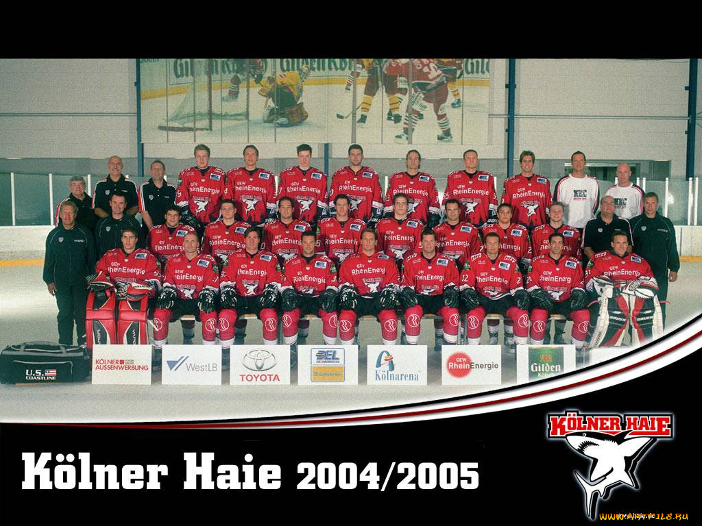 kolner, haie, 2005, спорт, хоккей