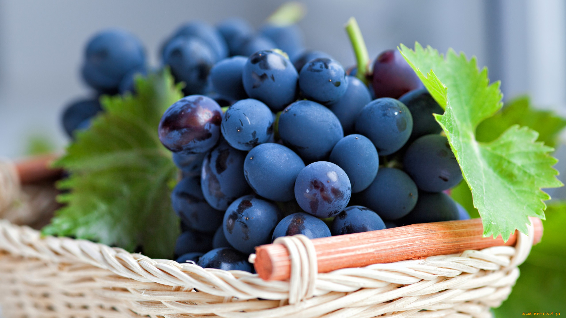 еда, виноград, корзинка, листья, ягоды, синий