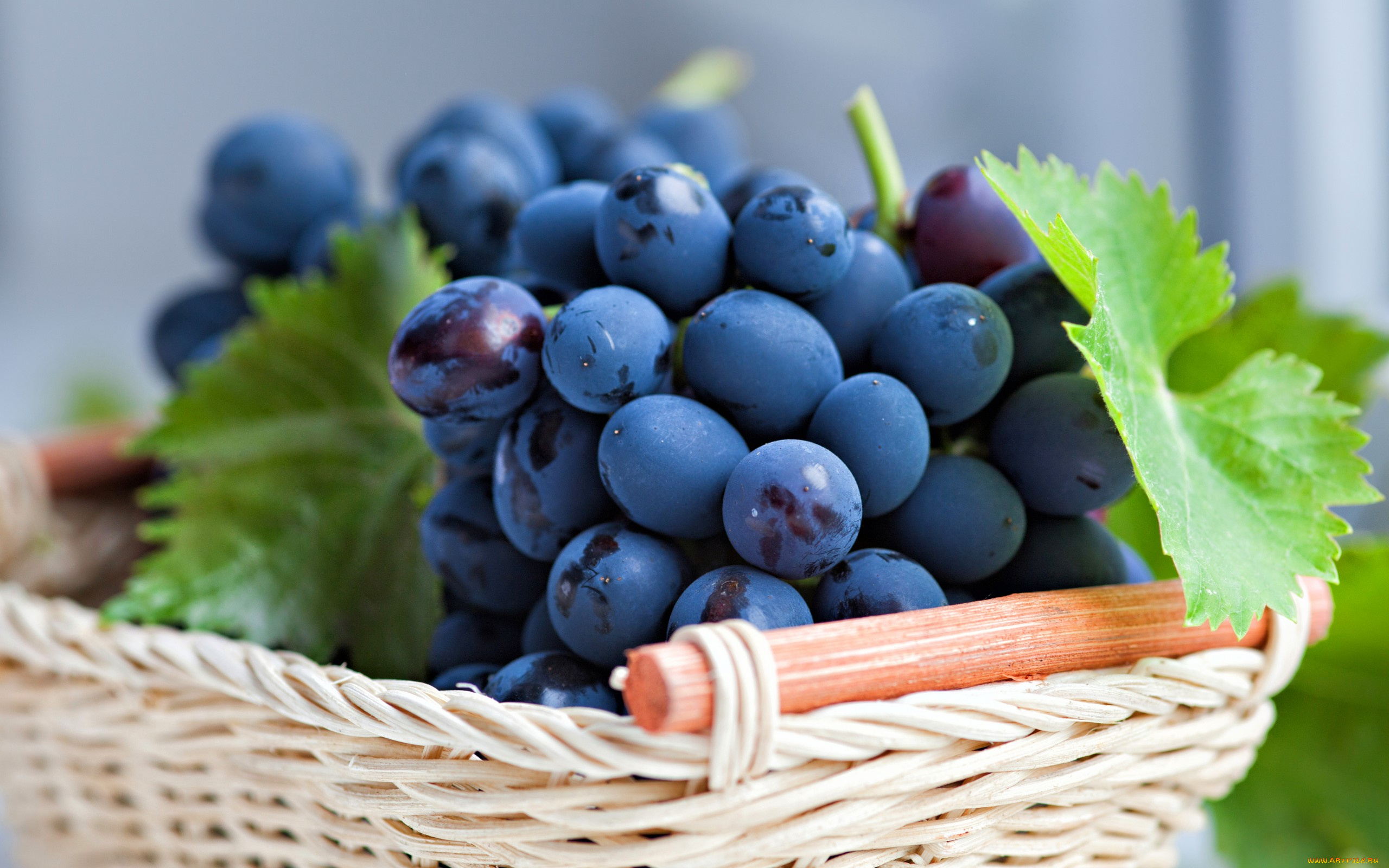 еда, виноград, корзинка, листья, ягоды, синий