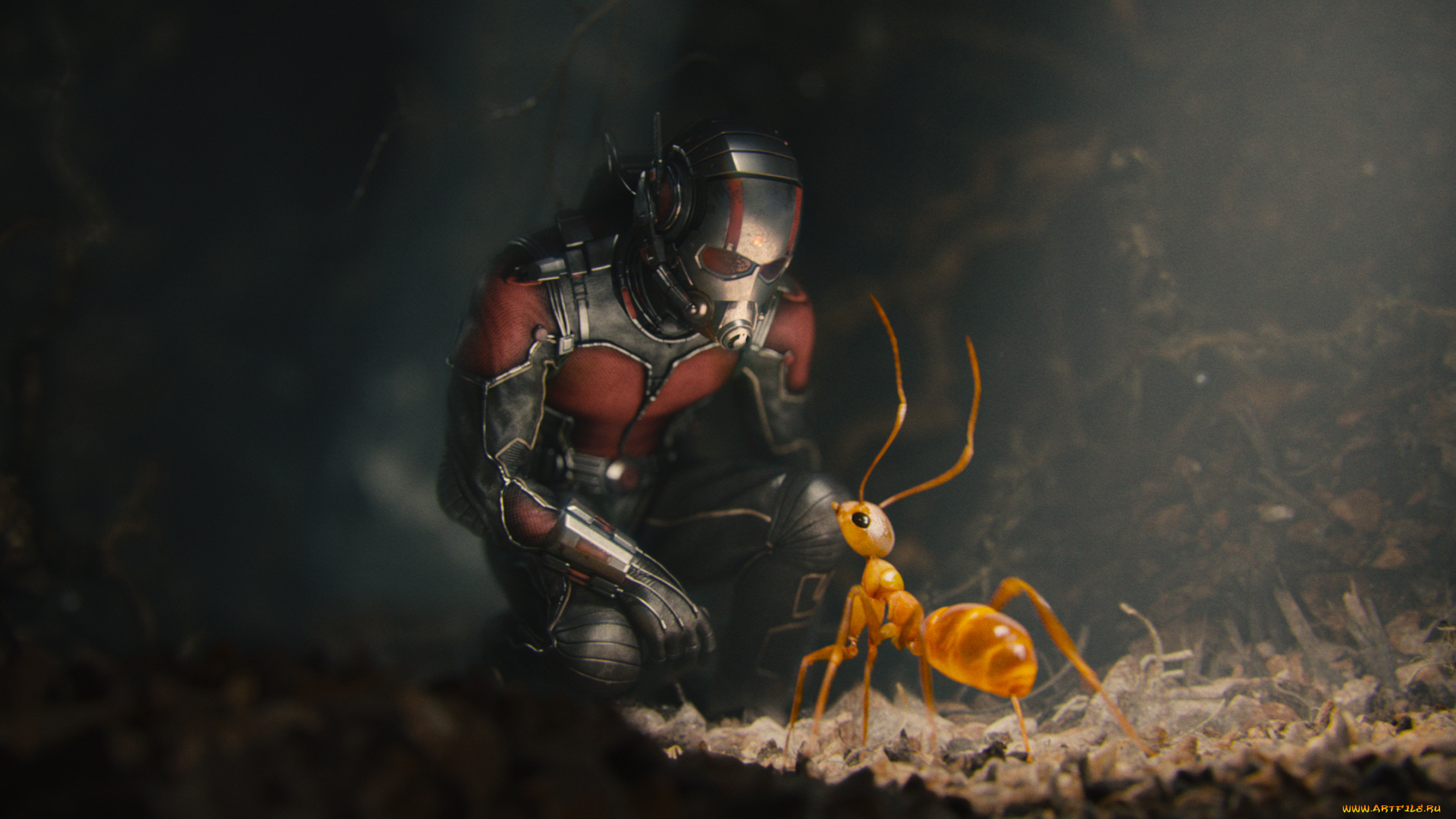 кино, фильмы, ant-man, муравей, Человек-муравей, костюм, супергерой, комикс, шлем, марвел