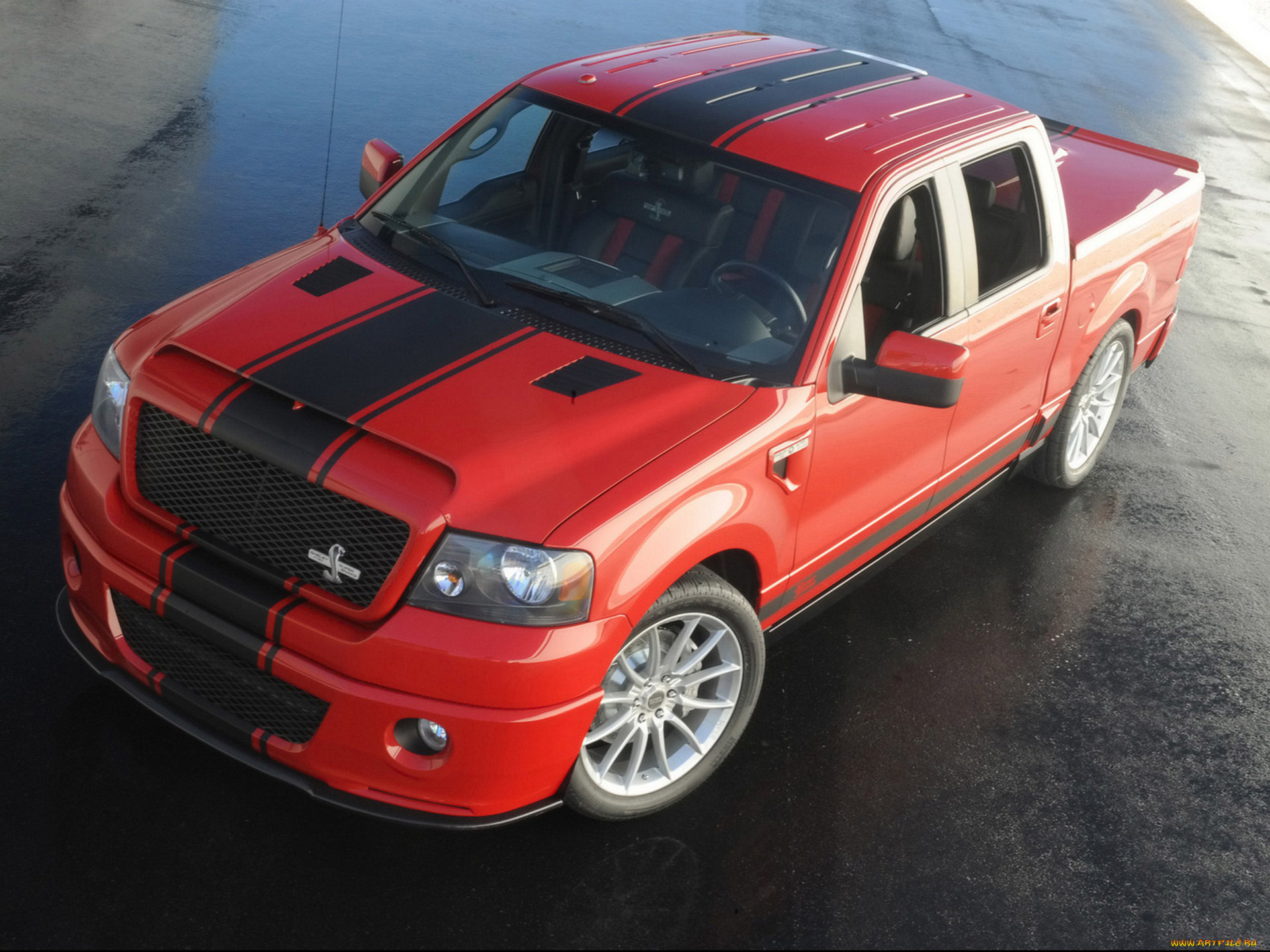 shelby, f-150, super, snake, concept, 2009, автомобили, ford, shelby, f-150, super, snake, concept, 2009