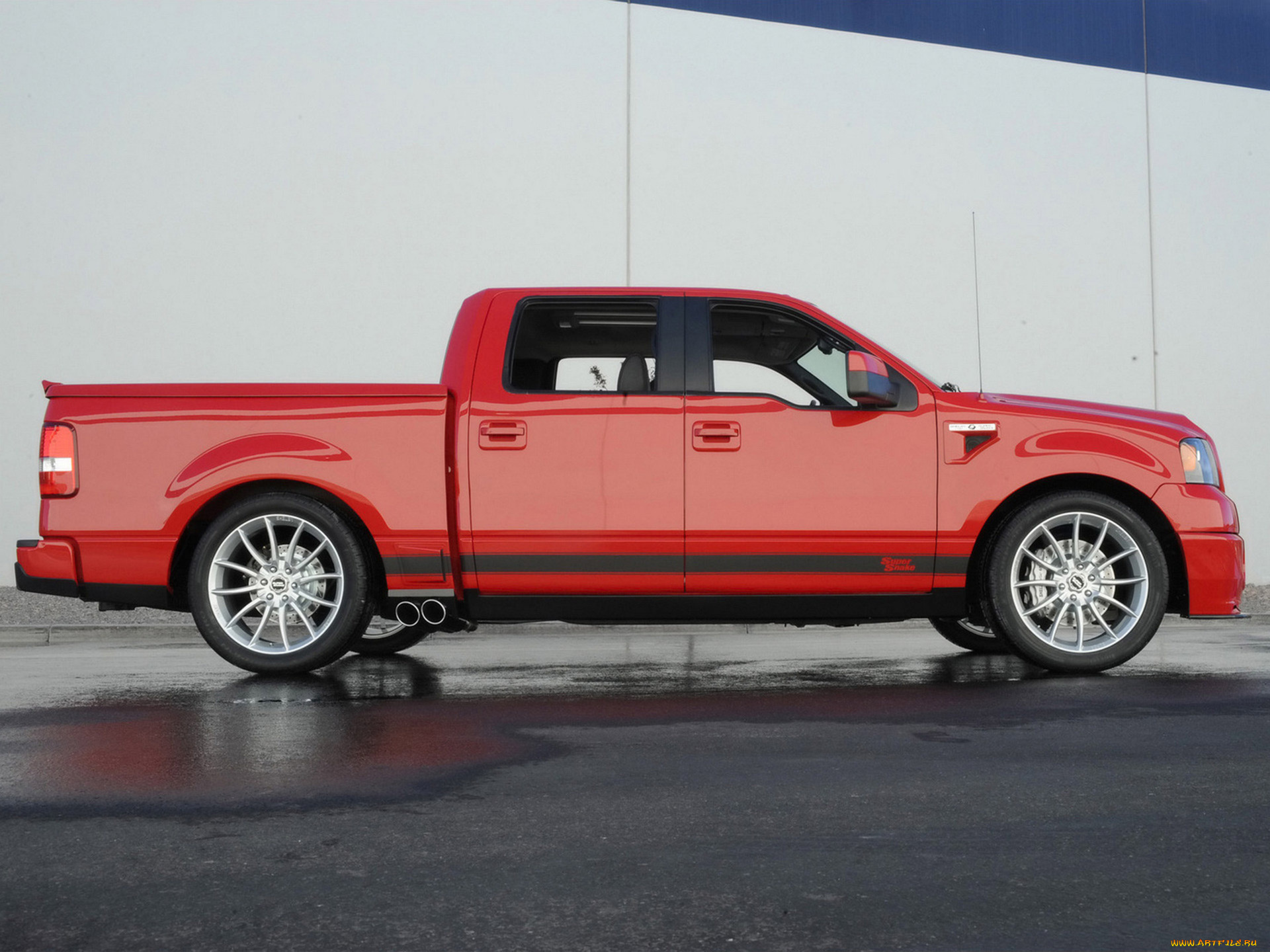 shelby, f-150, super, snake, concept, 2009, автомобили, ford, shelby, f-150, super, snake, concept, 2009