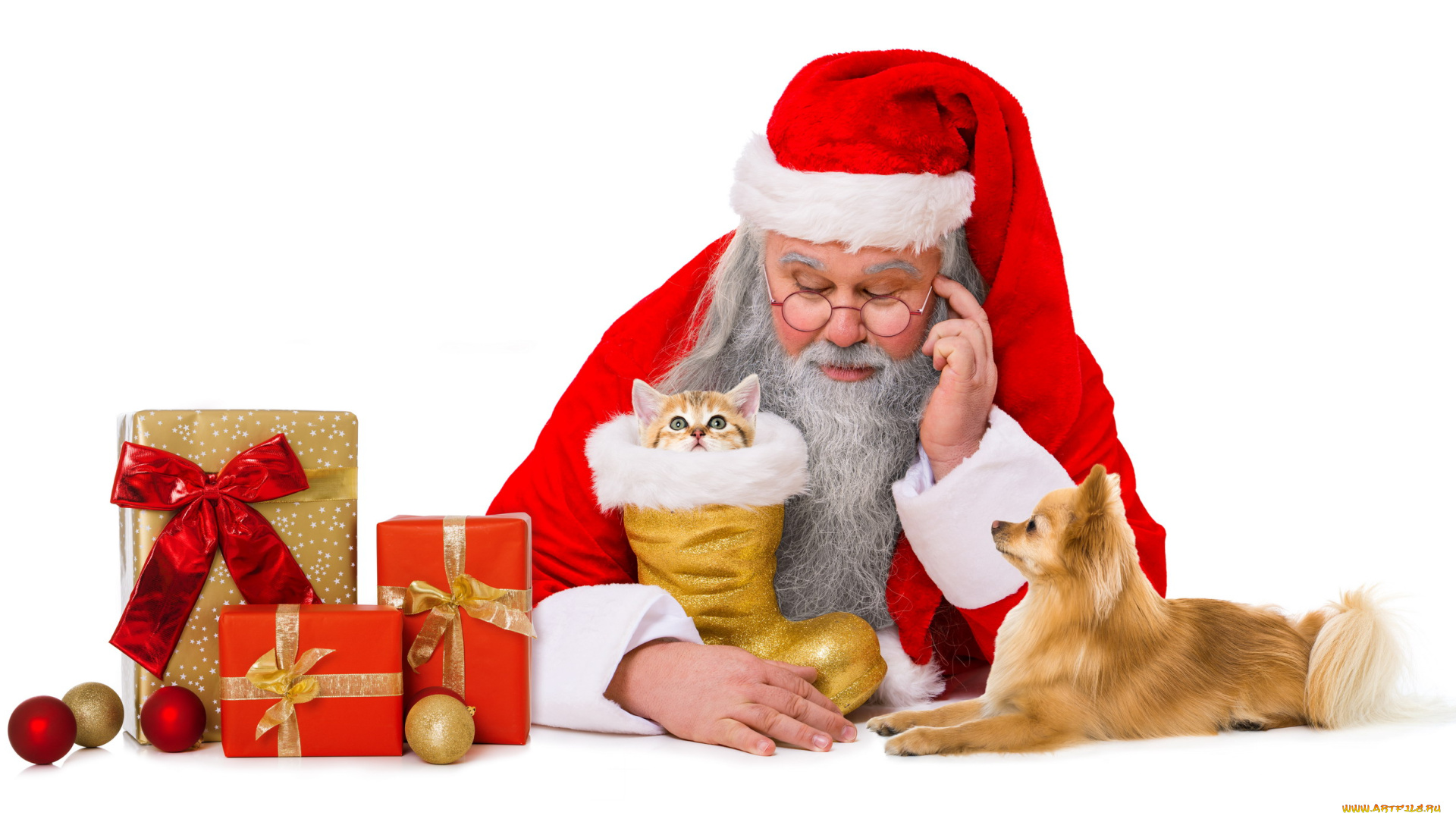 праздничные, дед, мороз, , санта, клаус, санта, подарки, кот, собака