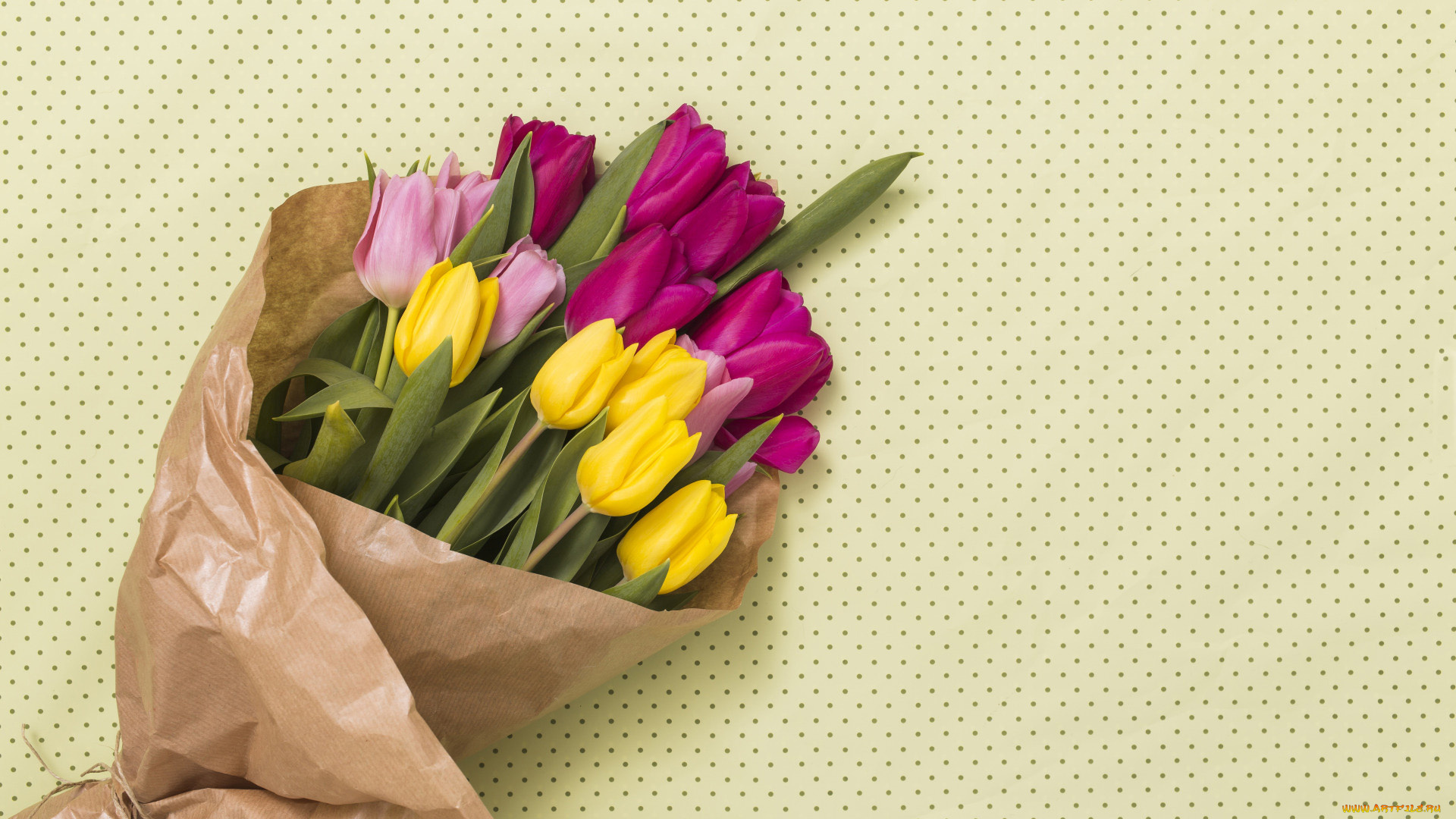 цветы, тюльпаны, букет, бутоны, разноцветные
