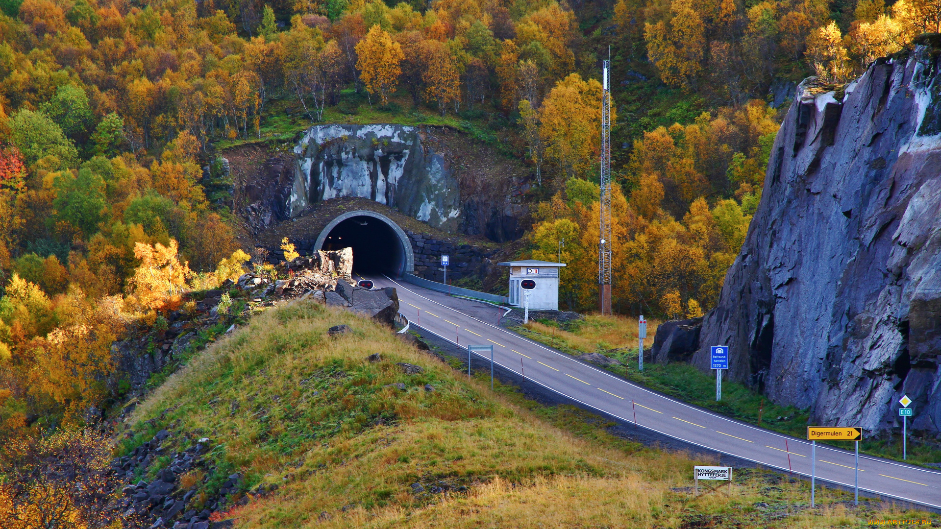 raftsundtunnelen, норвегия, природа, дороги, растения, дорога, тунель