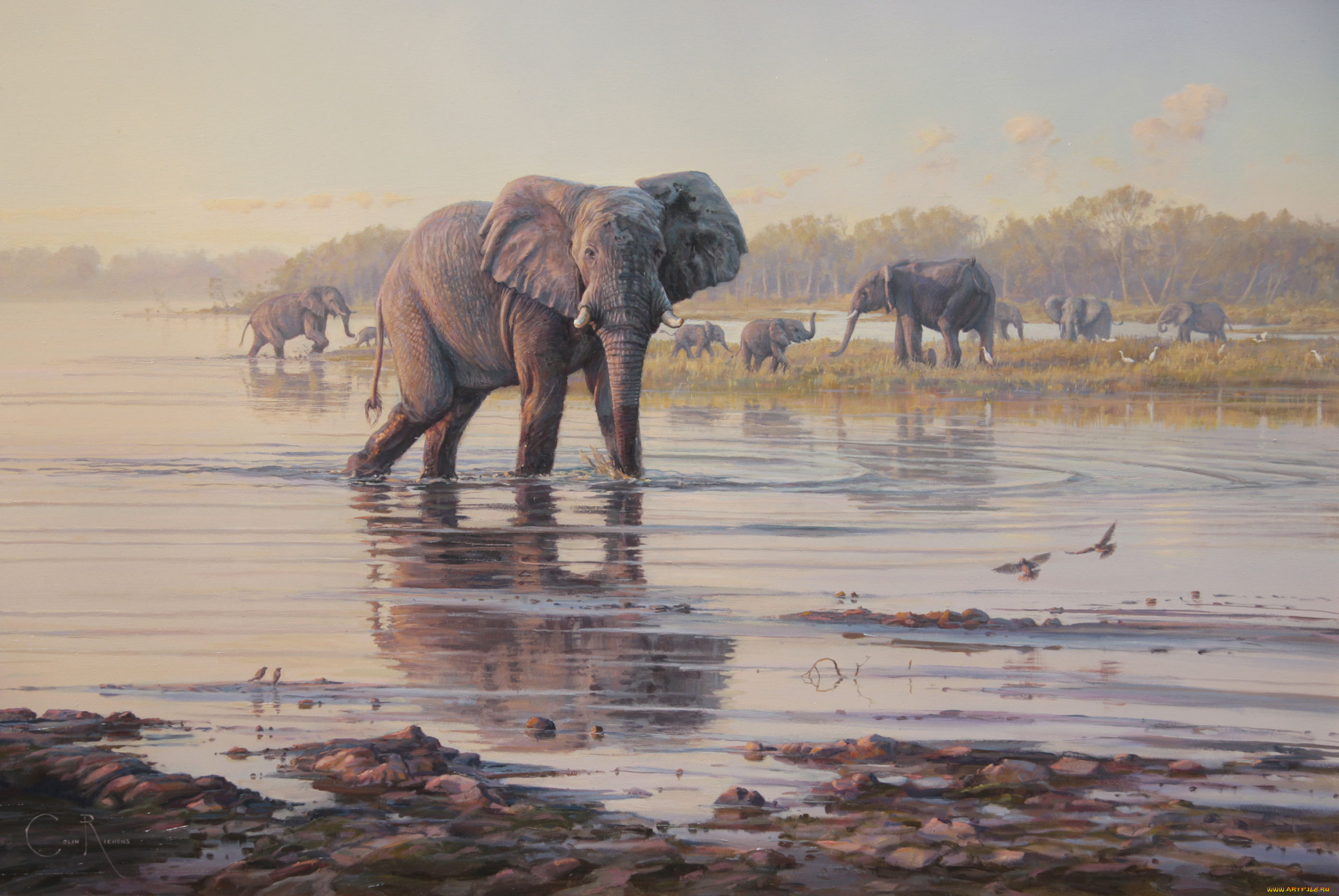 Elephant river. Пейзажи Колин Риченс Саванна. Африканские пейзажи в живописи. Слоны на водопое.