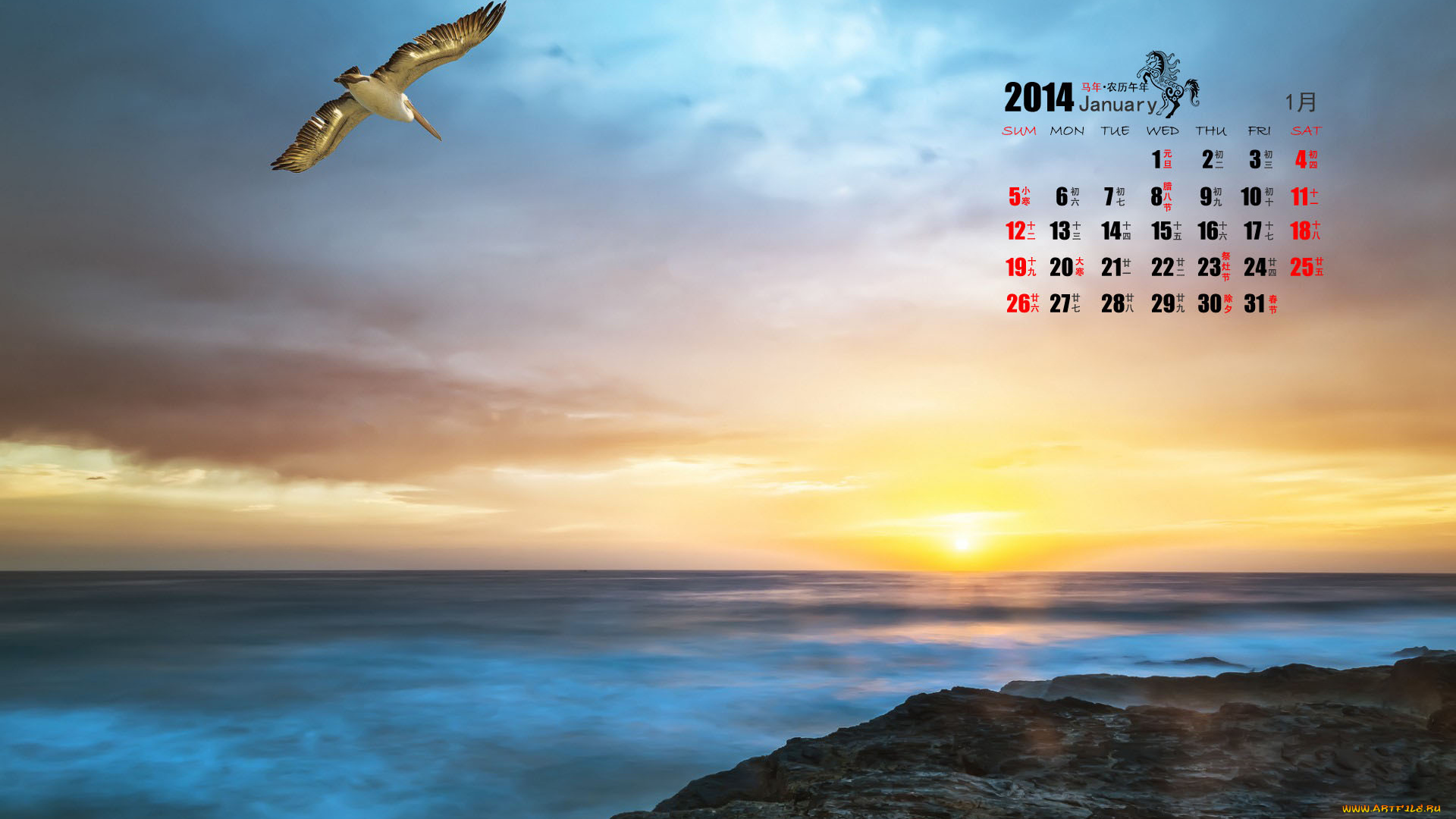календари, природа, чайка, море