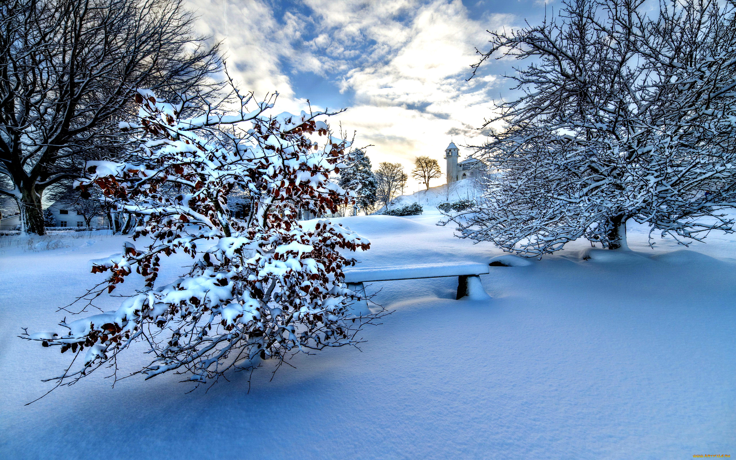 природа, зима, снег, скамейка, кусты