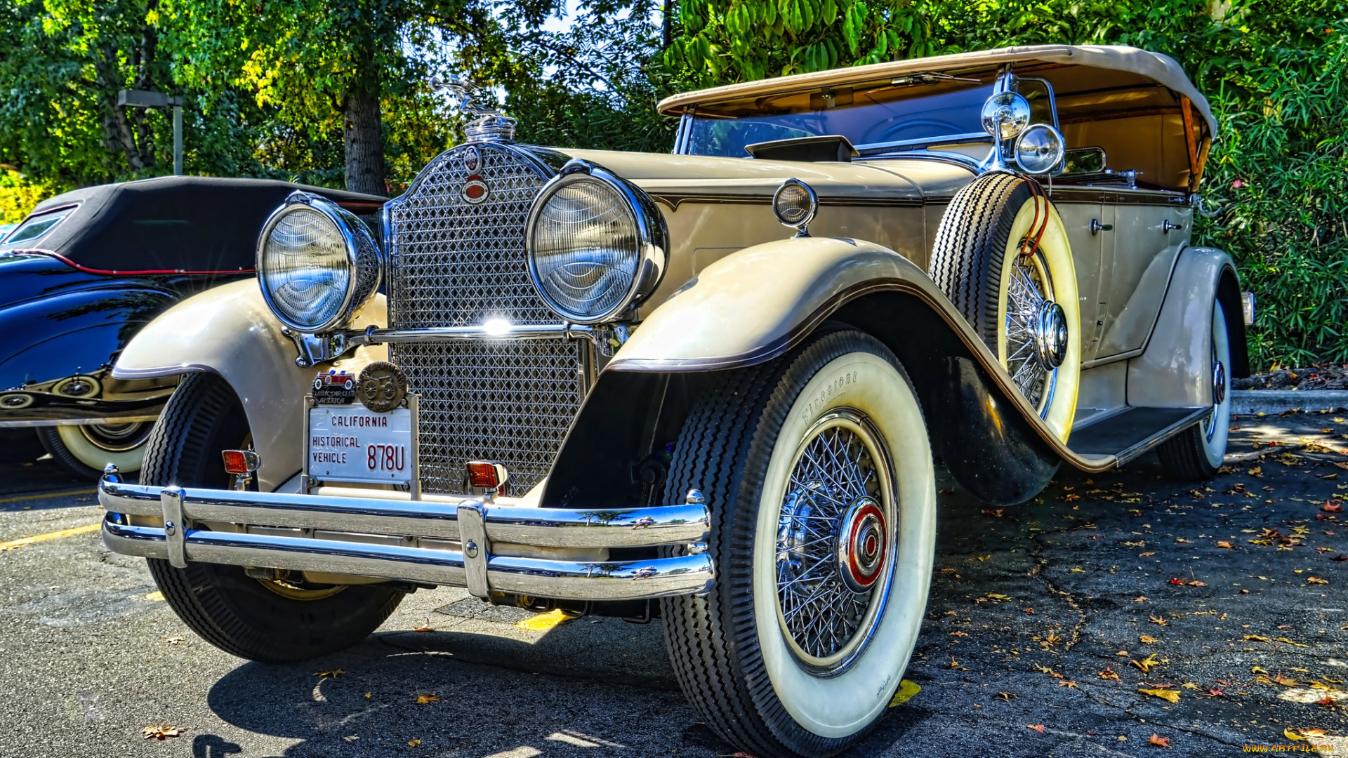 1930, packard, dual-cowl, phaeton, автомобили, выставки, и, уличные, фото, выставка, автошоу