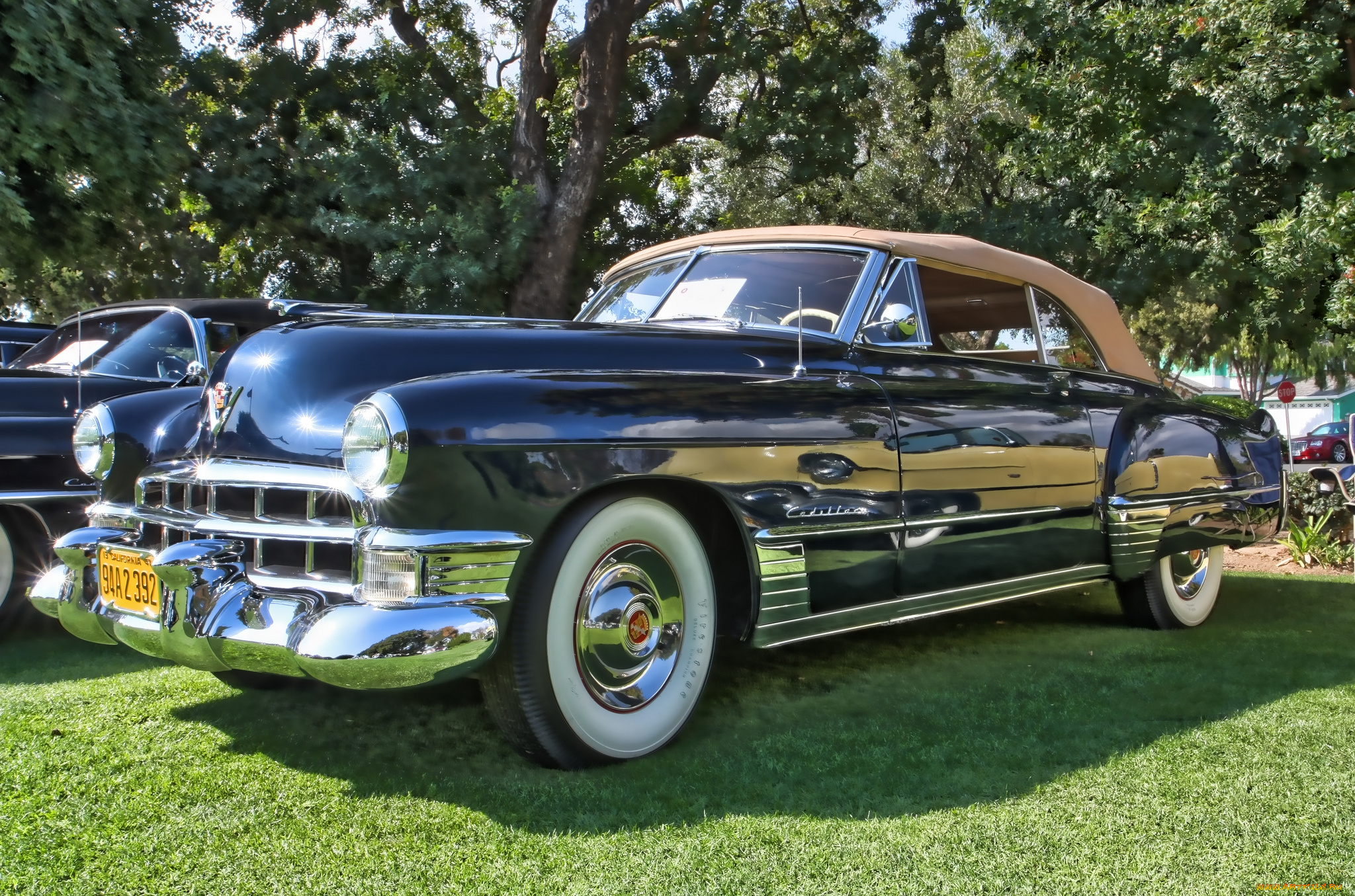 1949, cadillac, series, 62, convertible, автомобили, выставки, и, уличные, фото, выставка, автошоу