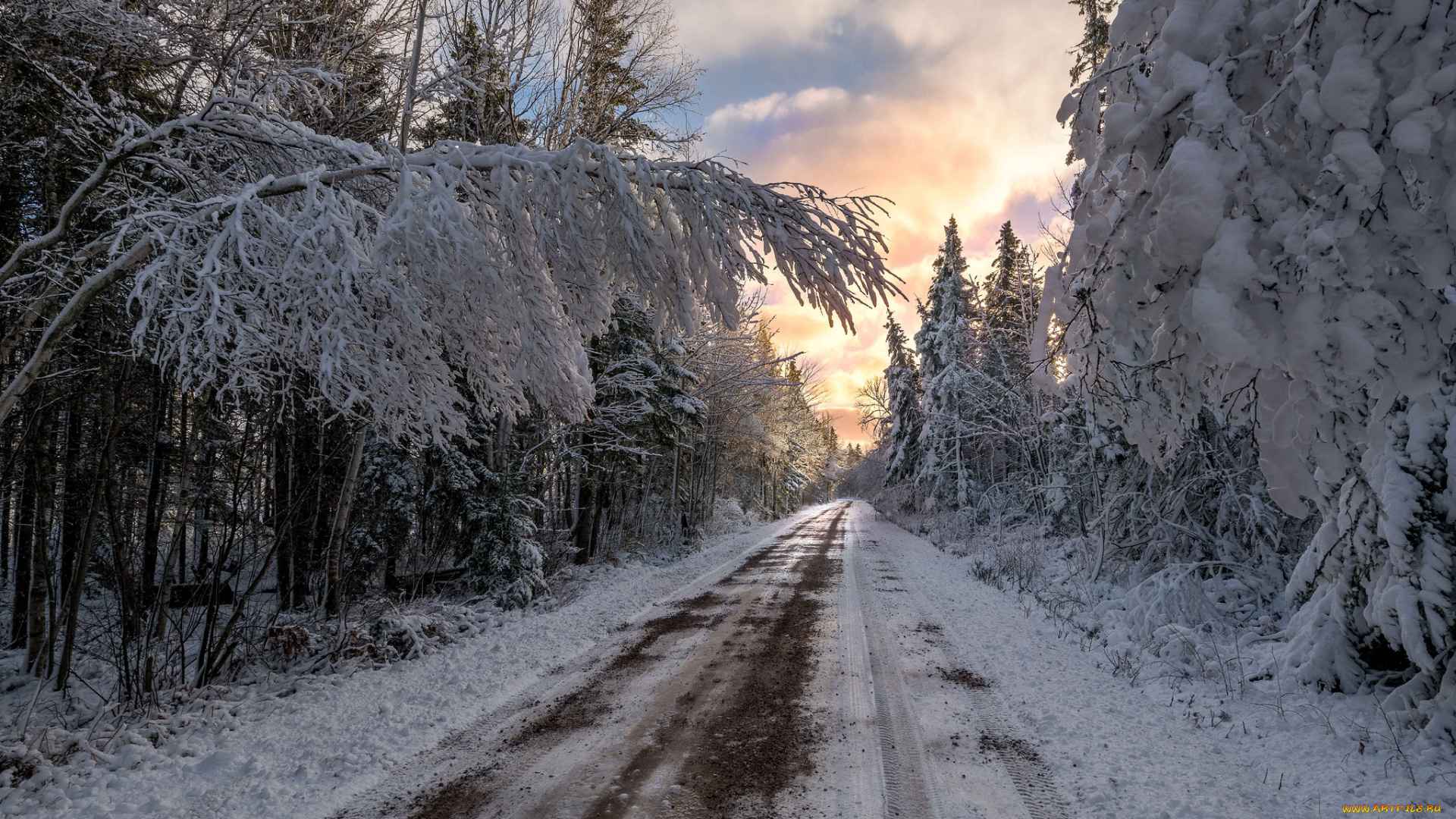 природа, дороги, деревья, снег, road, winter, trees, snow, дорога