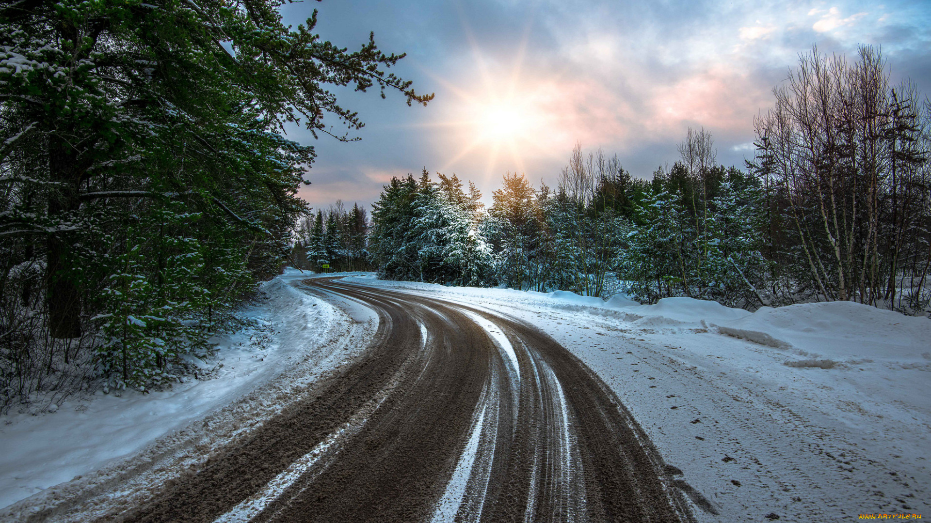 природа, дороги, snow, road, зима, winter, деревья, снег, дорога, nature, trees