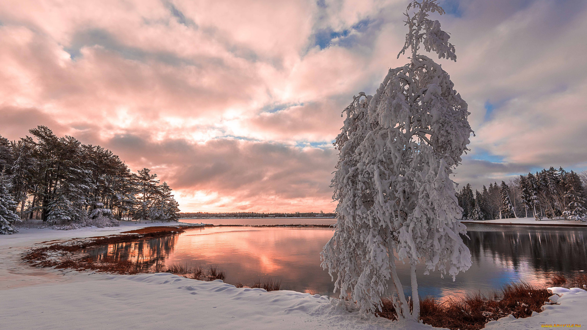 природа, зима, снег, дерево, snow, озеро, tree, lake, зимний, пейзаж, winter, landscape