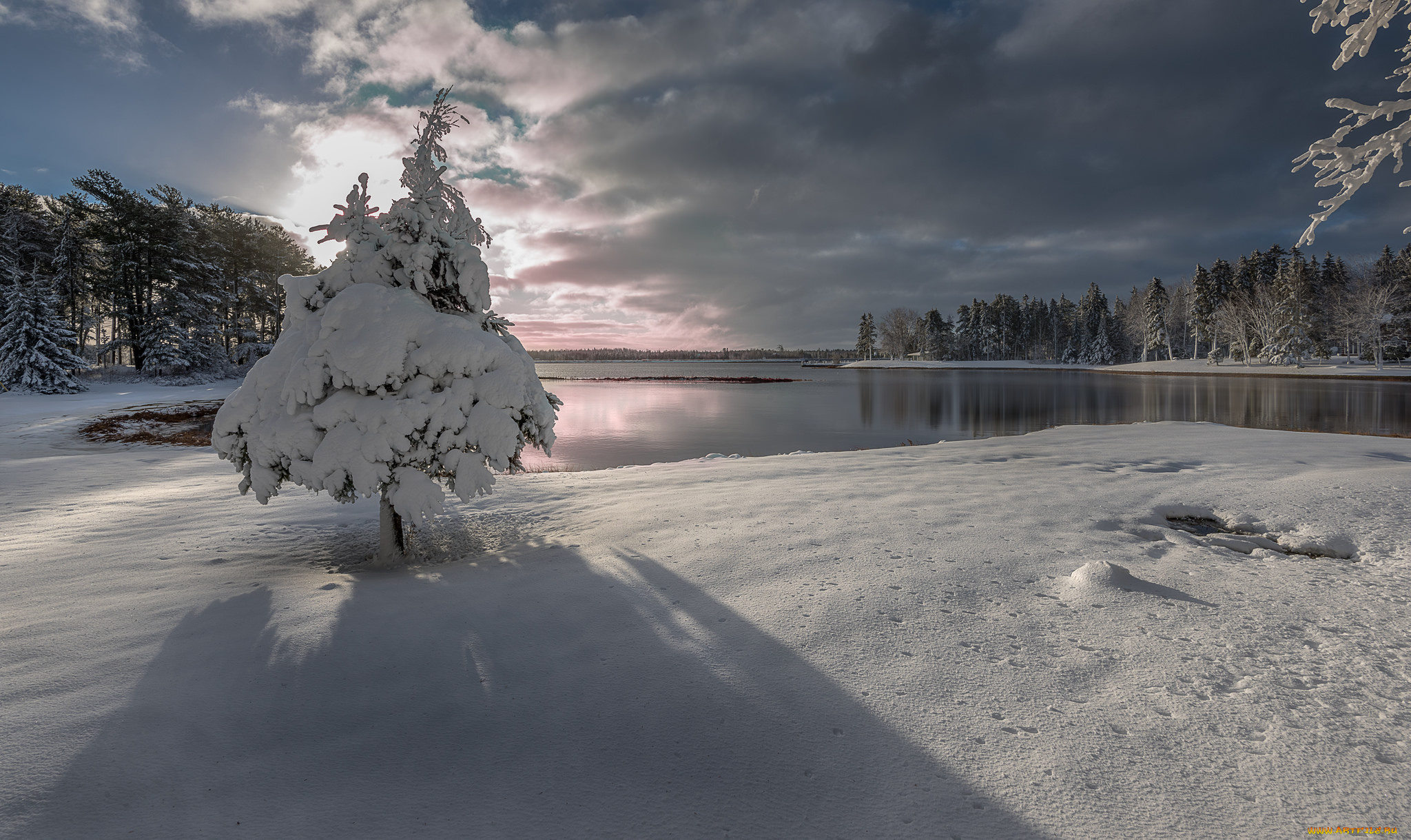 природа, зима, озеро, winter, landscape, snow, lake, tree, зимний, пейзаж, снег, дерево