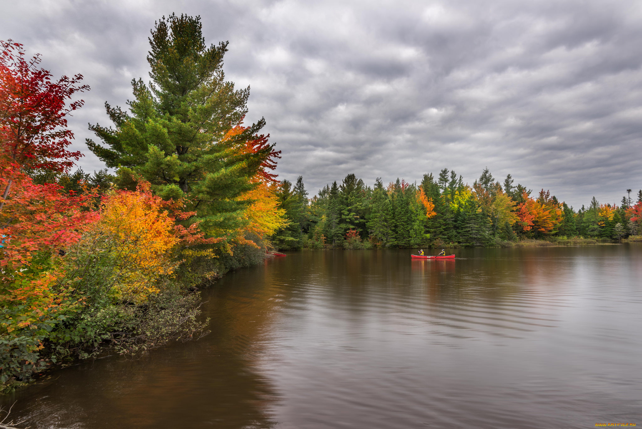 природа, реки, озера, river, autumn, красота, река, осень, beauty