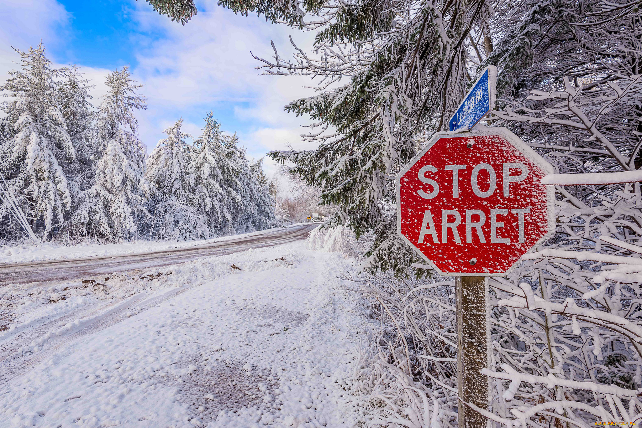 природа, зима, деревья, snow, road, снег, дорога, winter, trees