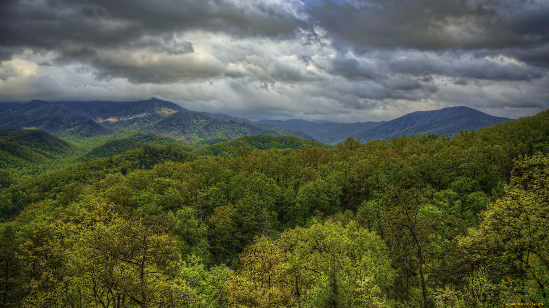 природа, пейзажи, great, smoky, mountains, national, park, тучи, деревья, горы