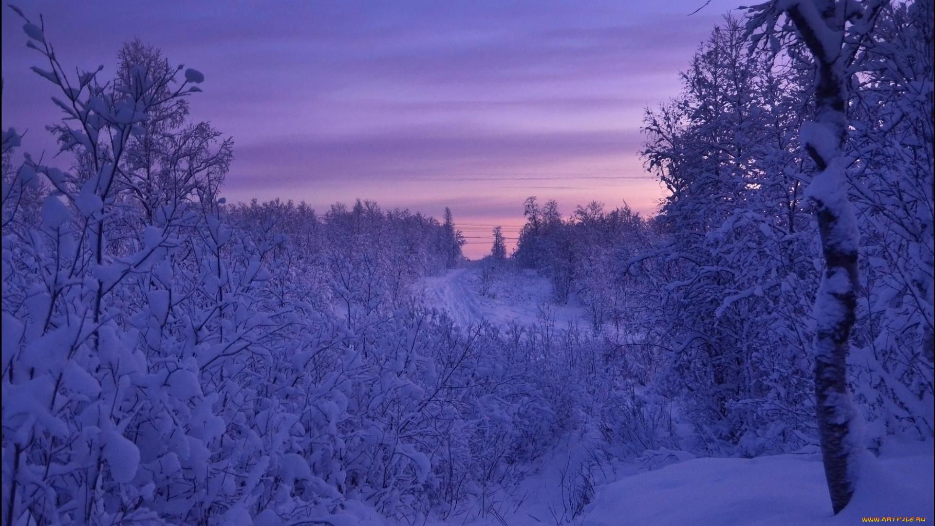 природа, зима, закат, снег, деревья, дорога, пейзаж