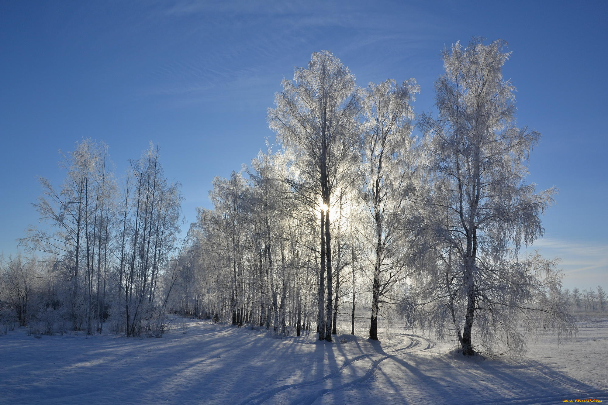 природа, зима, сугробы, деревья, снег, пейзаж