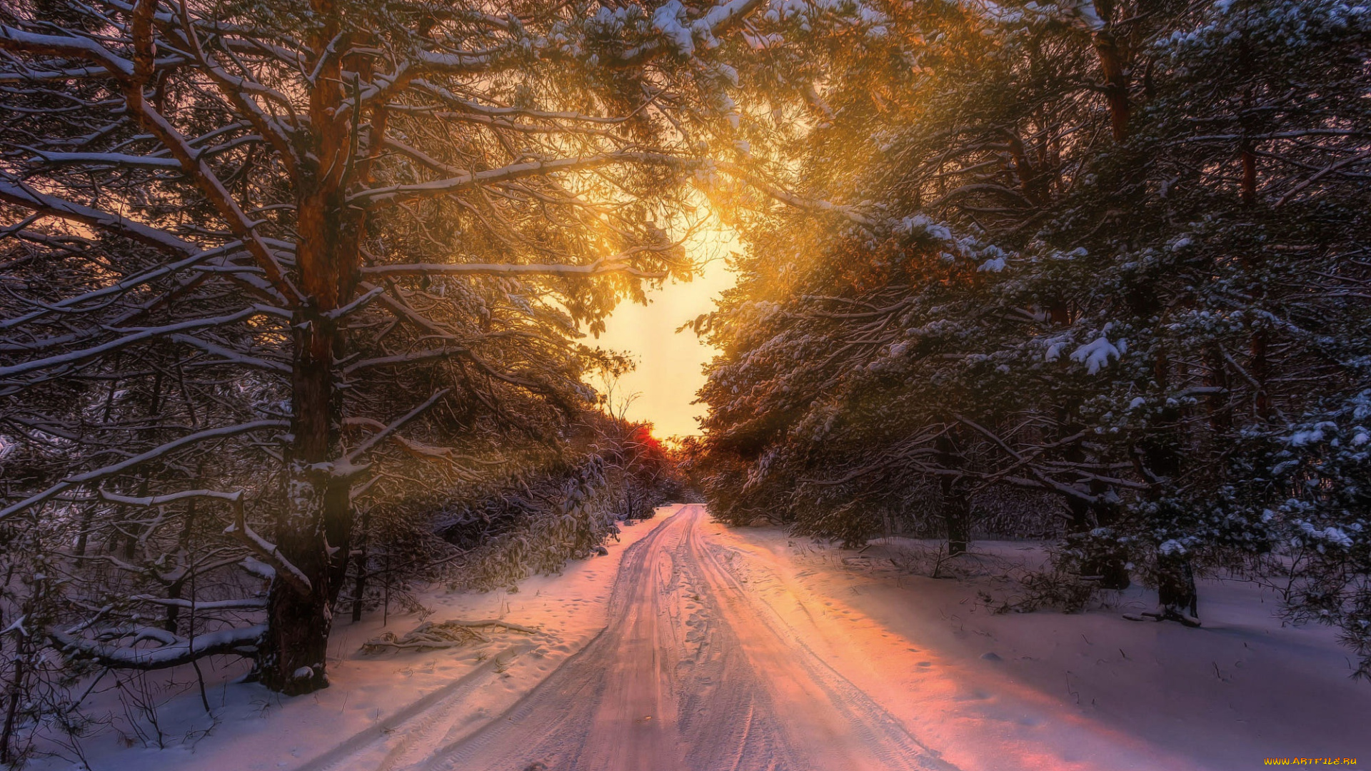 природа, дороги, зима, дорога, лес, закат