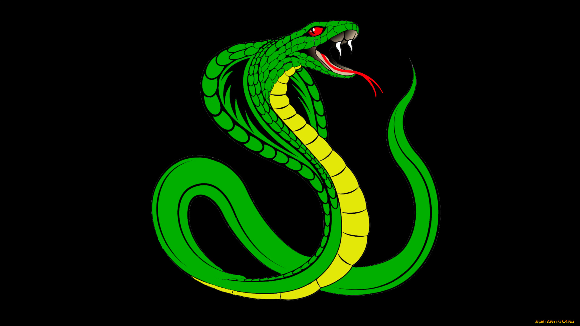 векторная, графика, животные, , animals, кобра, змея, зелёная, змей, чёрный, фон, рептилия, зубы, язык, яд