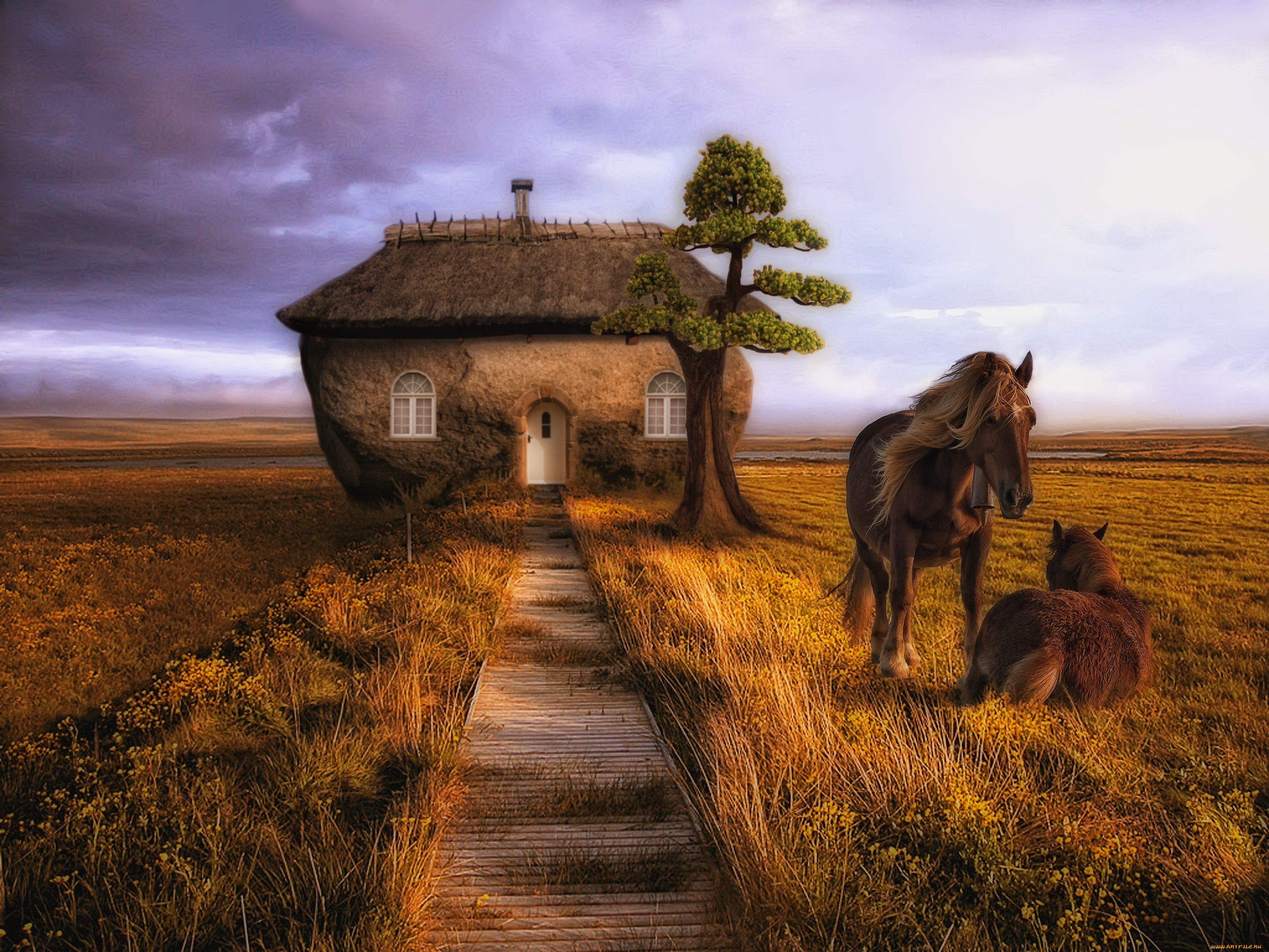 животные, лошади, дерево, дом, конь, лошадь