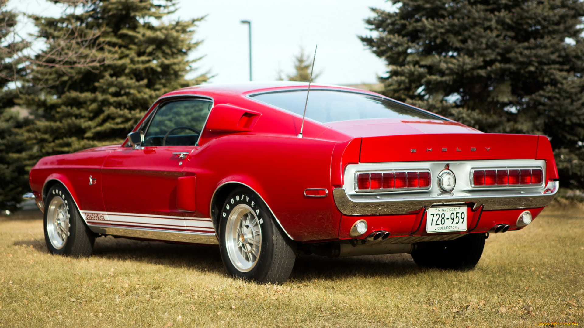 mustang, автомобили, сша, ford, motor, company