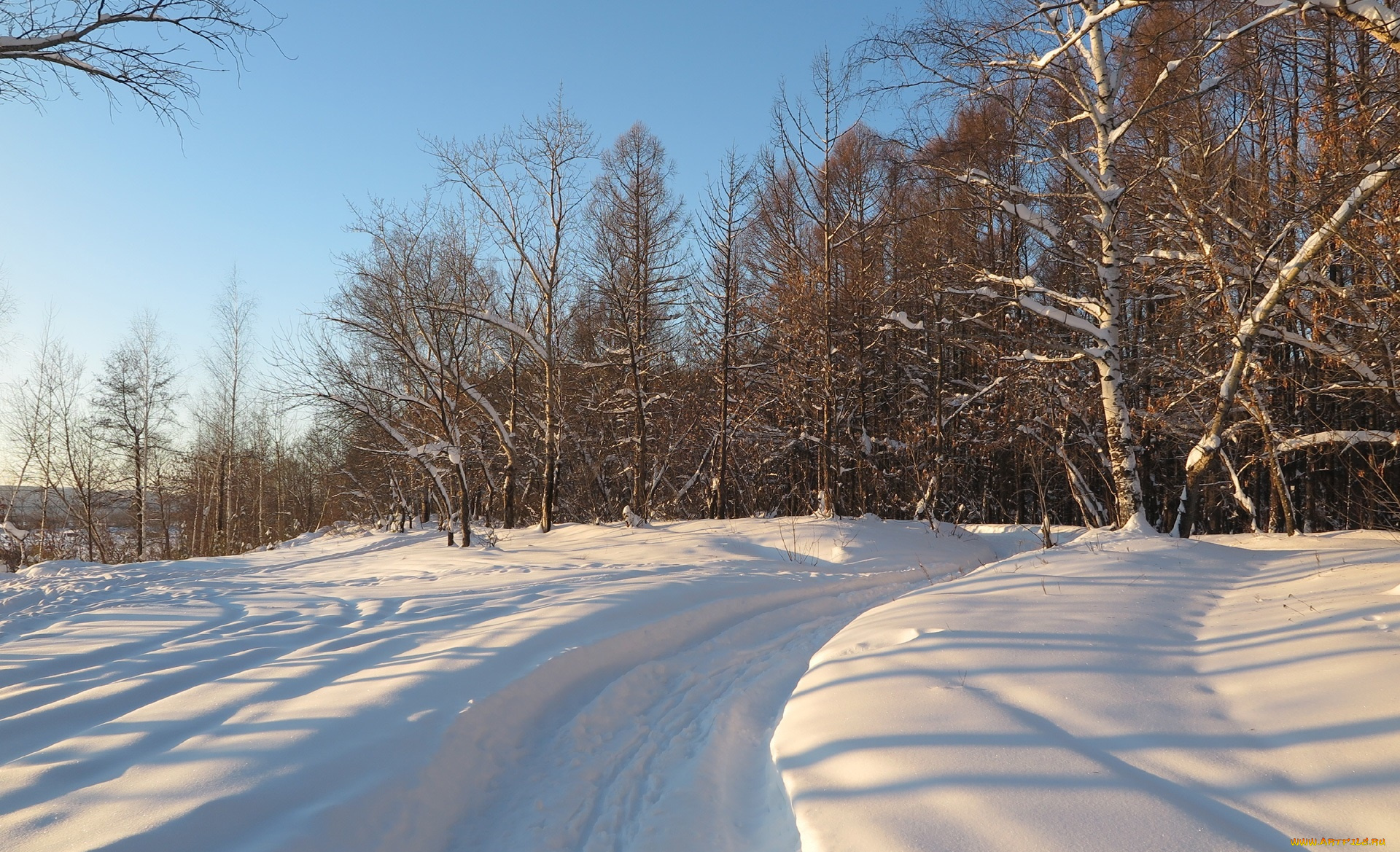 природа, дороги, дорога, деревья, снег