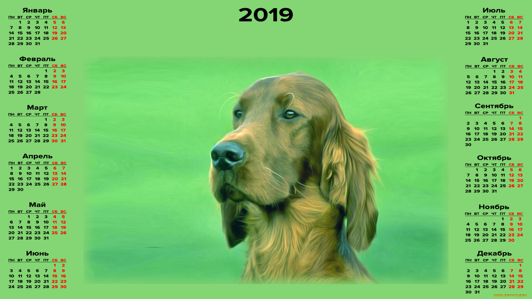 календари, компьютерный, дизайн, собака, животное