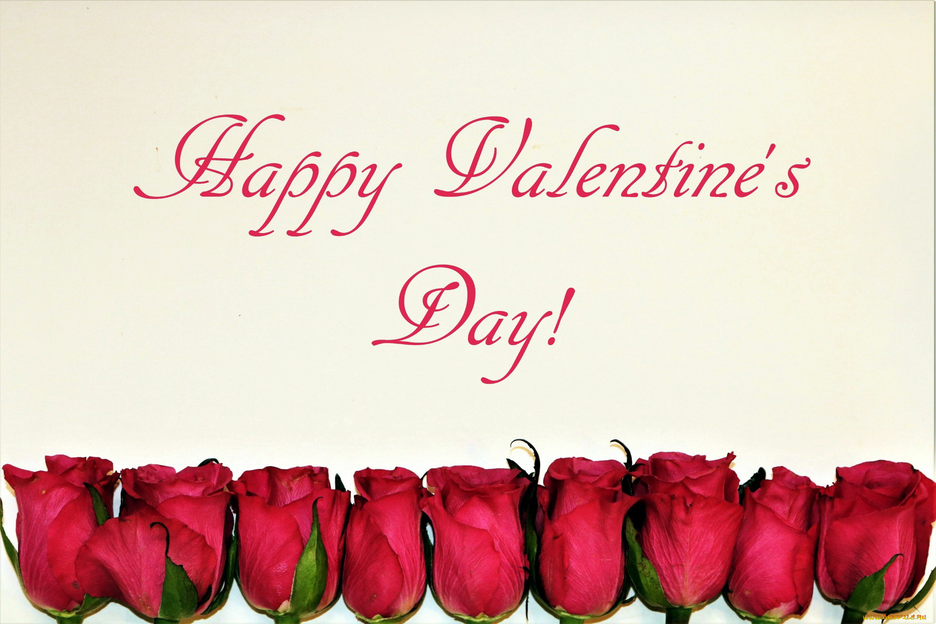праздничные, день, святого, валентина, , сердечки, , любовь, бутоны, розы, поздравление, надпись