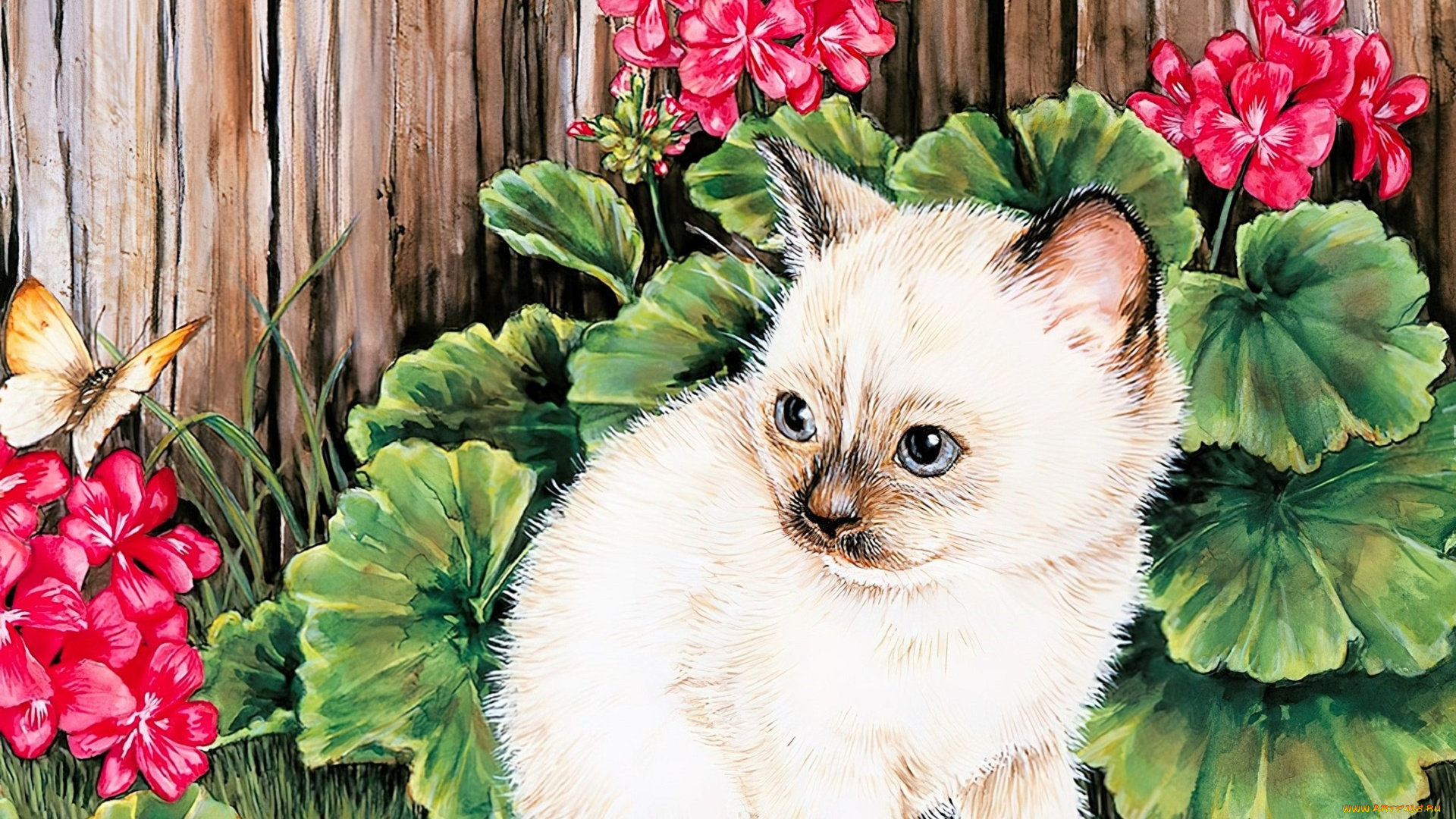 jane, maday, рисованное, животные, , коты, котенок, цветы, герань, бабочка, забор