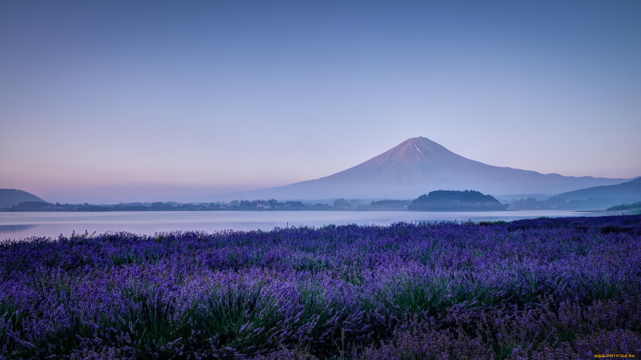 Mount fuji purple живые обои. Фудзияма Азия. Фуджи Япония. Японская гора Фудзияма. Гора Фудзияма в Японии 4к.