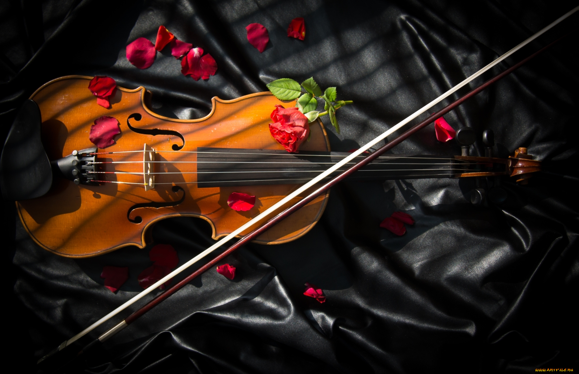 музыка, -музыкальные, инструменты, смычок, скрипка, розы