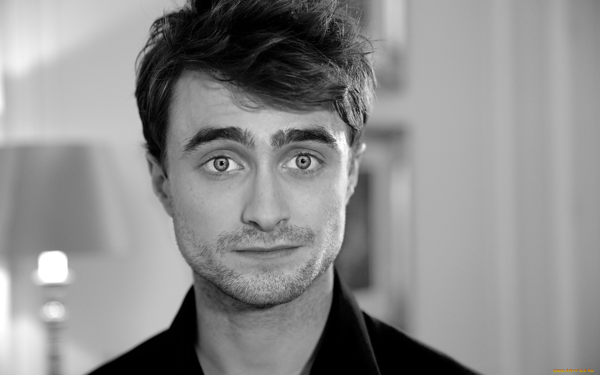 мужчины, daniel, radcliffe, актер, лицо